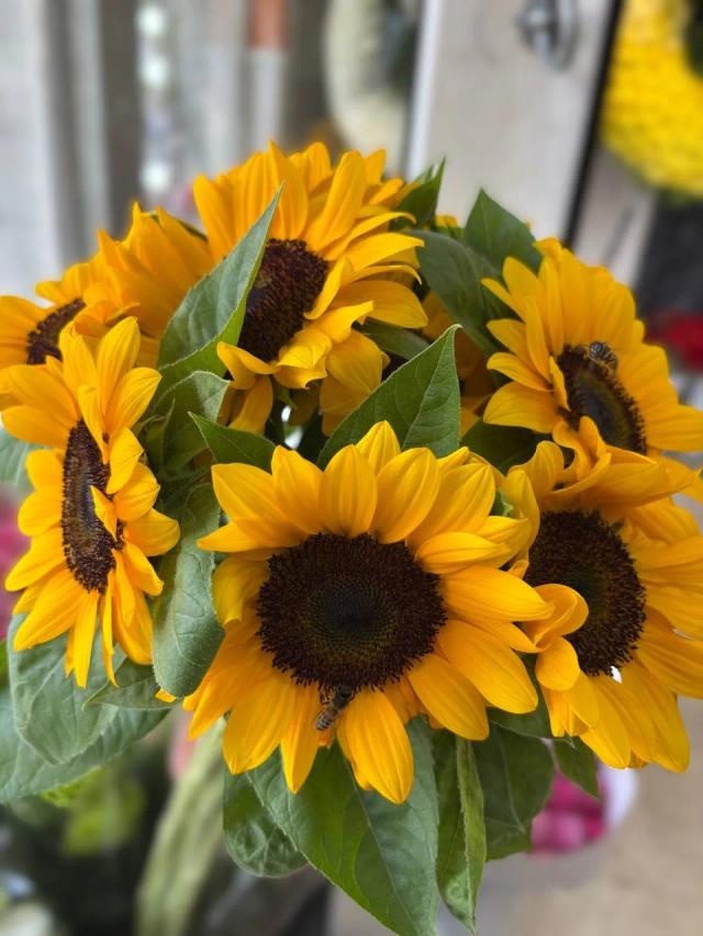 A bright summer bouquet of 7 yellow sunflowers | ծաղիկների առաքում Երևանում