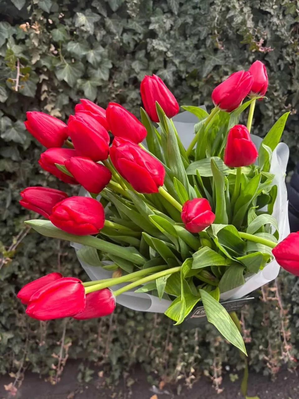 Pink tulips | ծաղիկներ, ծաղկեպսակներ, բույսեր Երևան