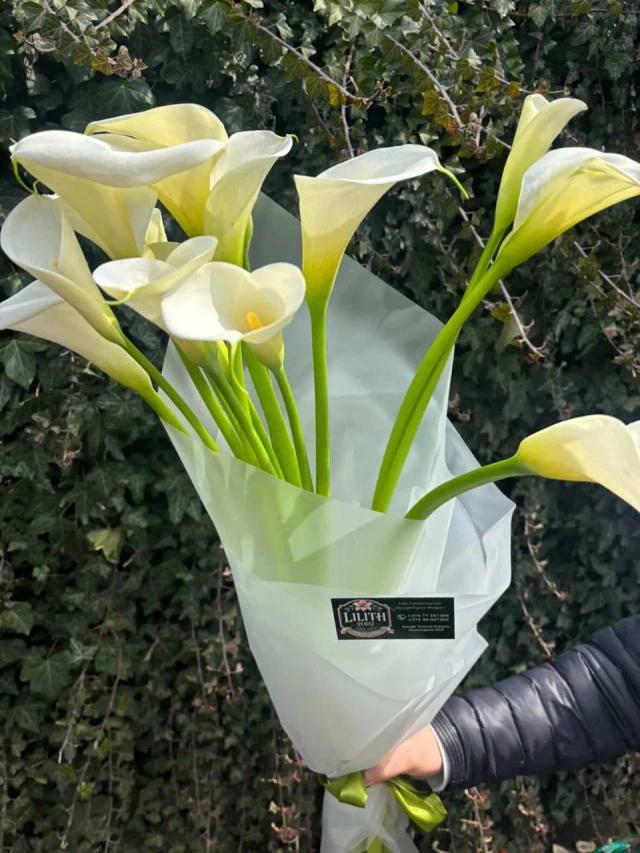 White calla lilies | ծաղիկներ, ծաղկեպսակներ, բույսեր - առաքում Երևան