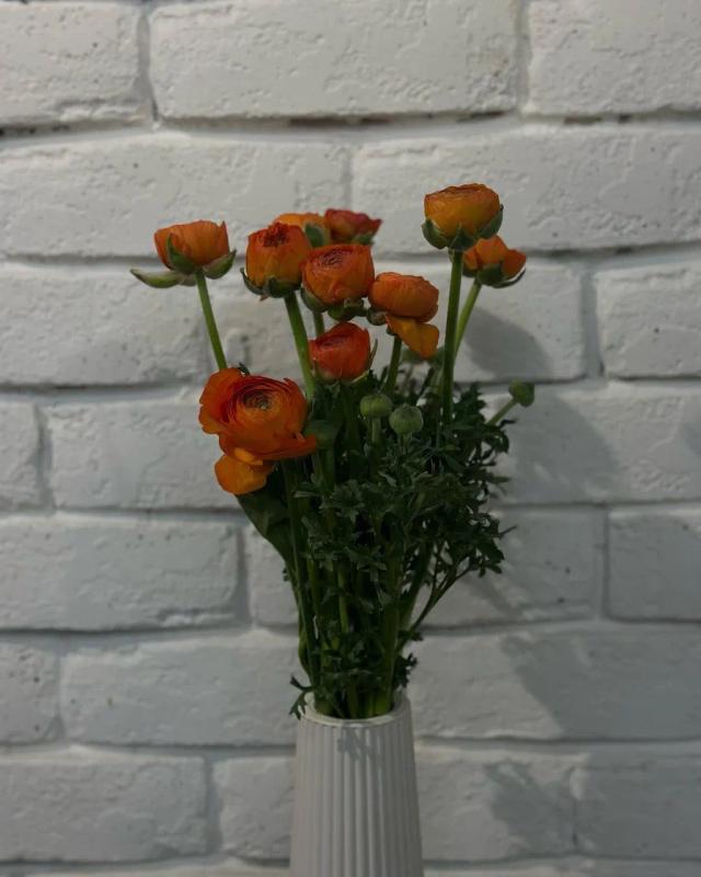 Orange Ranunculus | ծաղիկների առաքում Երևանում