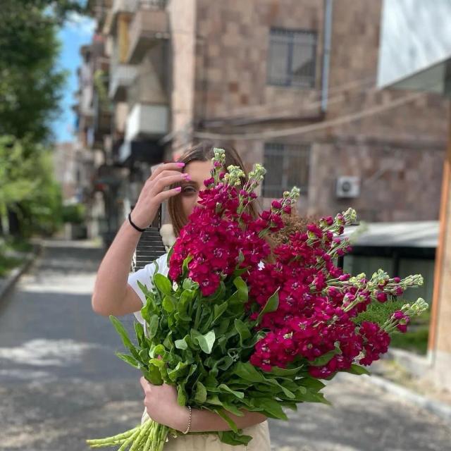 Pink Delphinium | ծաղիկների առաքում Երևանում