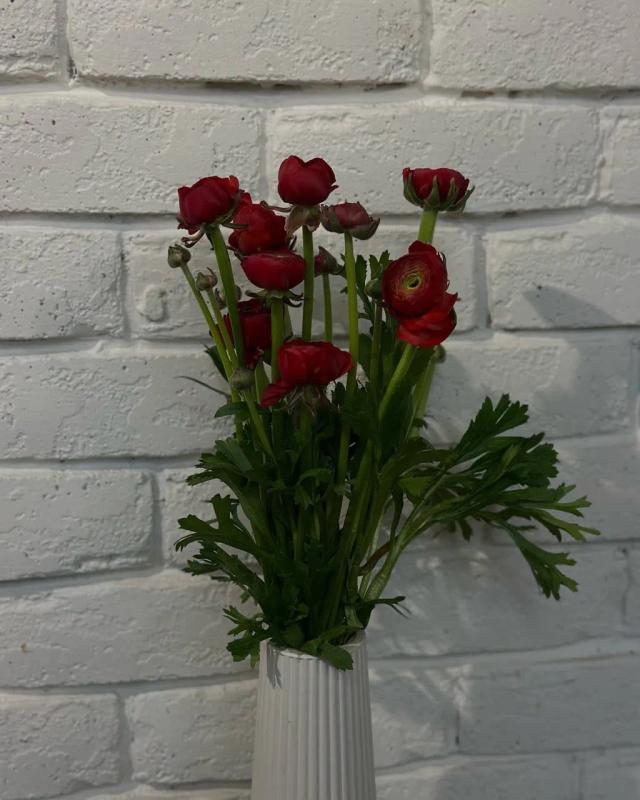 Red Ranunculus | ծաղիկների առաքում Երևանում